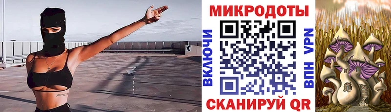 Галлюциногенные грибы Psilocybe  Лихославль 